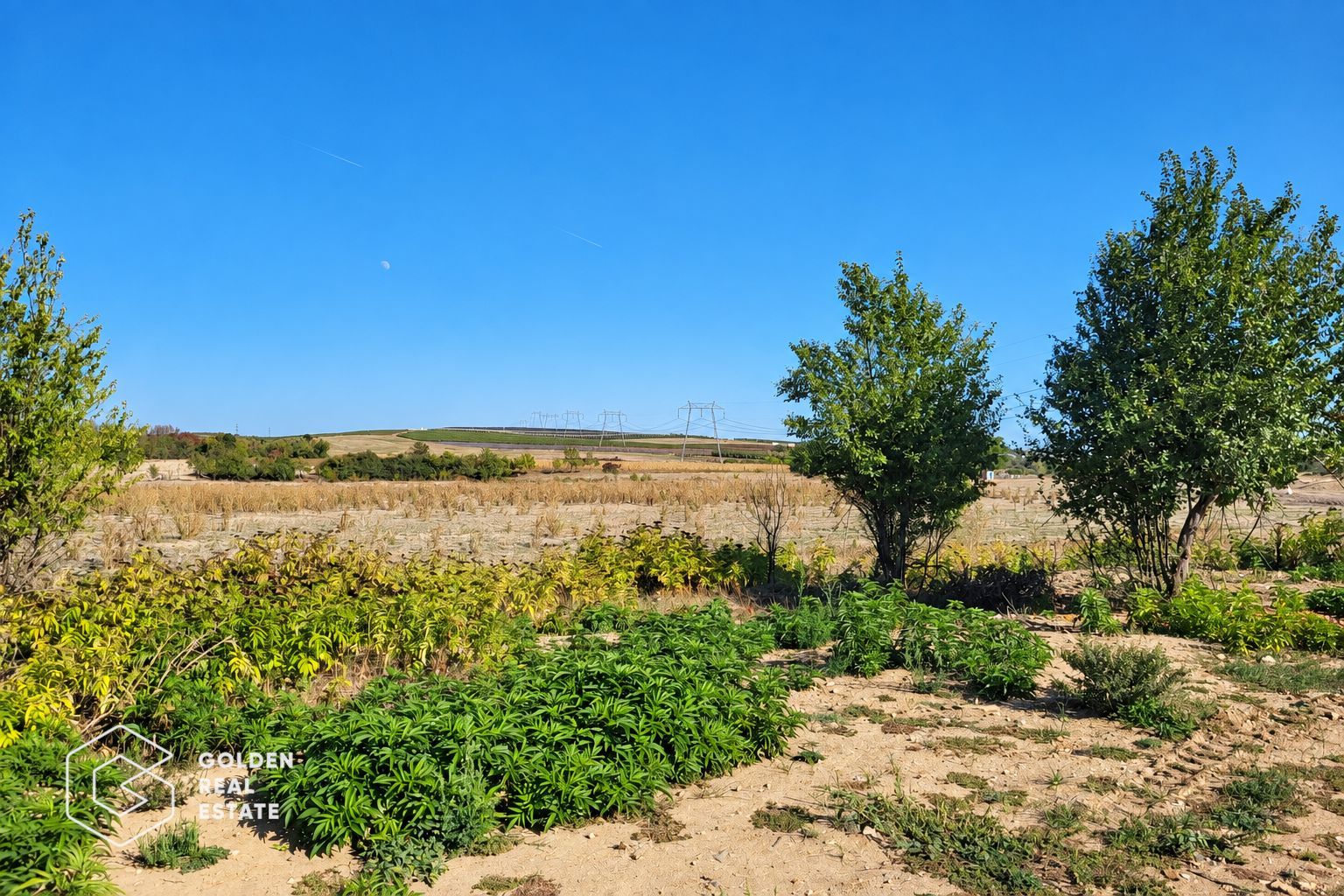 Teren Intravilan, 7000 mp, oras Lipova - Poză 3