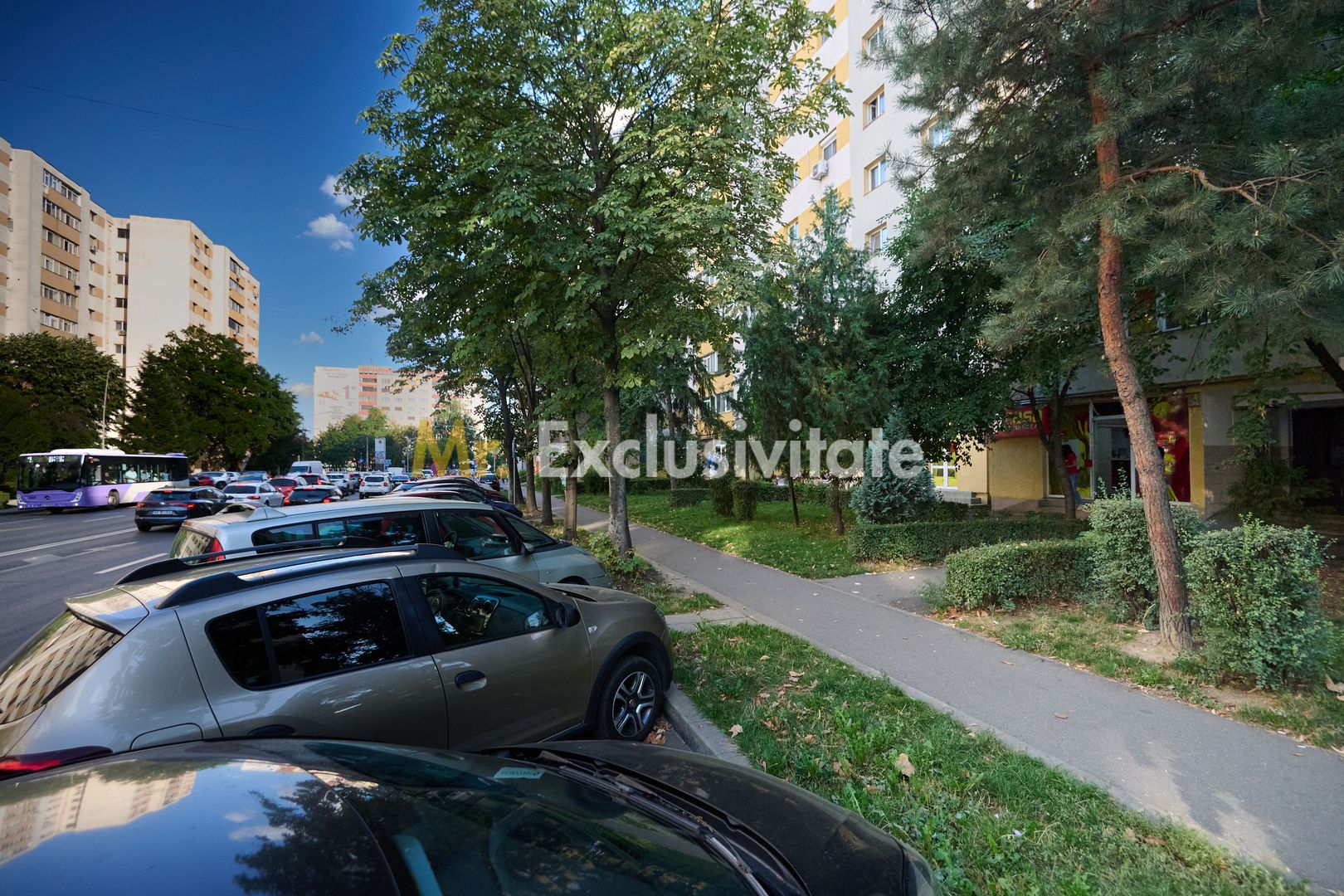 Spațiu Comercial Stradal Open Space | Trafic Intens | Vizibilitate Mar - Poză 10
