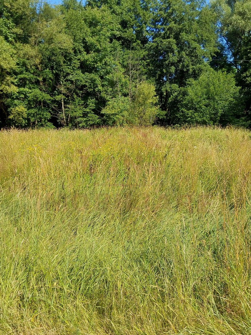 TEREN INTRAVILAN ÎN MARGA-LA DN68 JUD.CARAȘ-SEVERIN - Poză 8