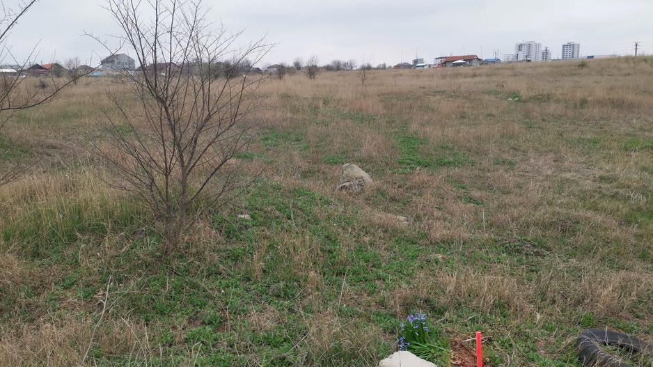 TEREN INTRAVILAN 306 mp – Palazu Mare, Constanta - Ocazie Unica - Poză 3