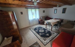Casa de vacanta 1200 mp teren Valea Lotrioarei - Poză 5