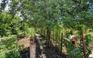 Casa cu 4 camere, garaj, teren 791 mp, zona Schit - Poză 3