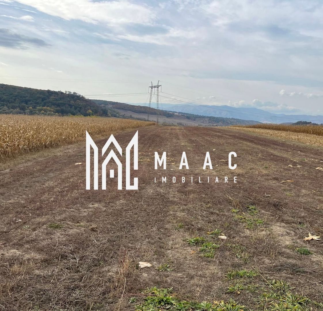 Teren extravilan de vânzare | Daia | 8.000 mp | agricol - Poză 1