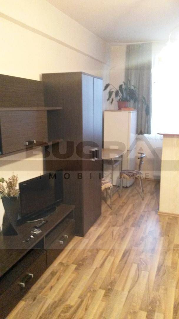 Garsoniera cocheta, 20 mp, etaj intermediar, zona Dambul Rotund - Poză 2
