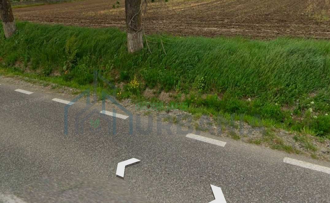 Teren de 5000 mp de vanzare, cu front la strada, in Voinesti, Iasi - Poză 2