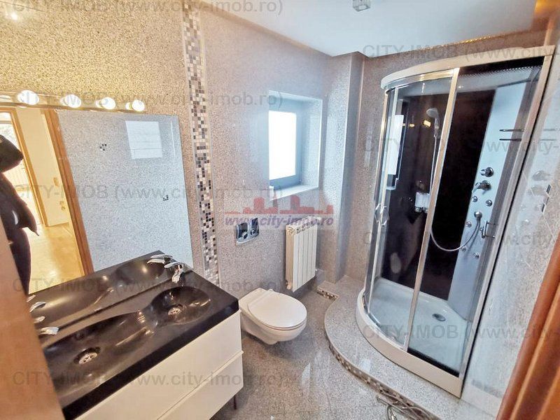 Inchiriere Vila Iancu Nicolae,  Nord,  Pipera - Poză 13