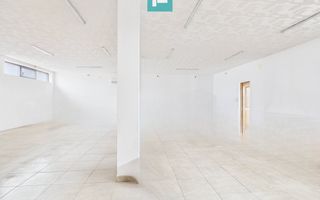 Casă 3 camere + spațiu afacere lângă Timișoara - Poză 42