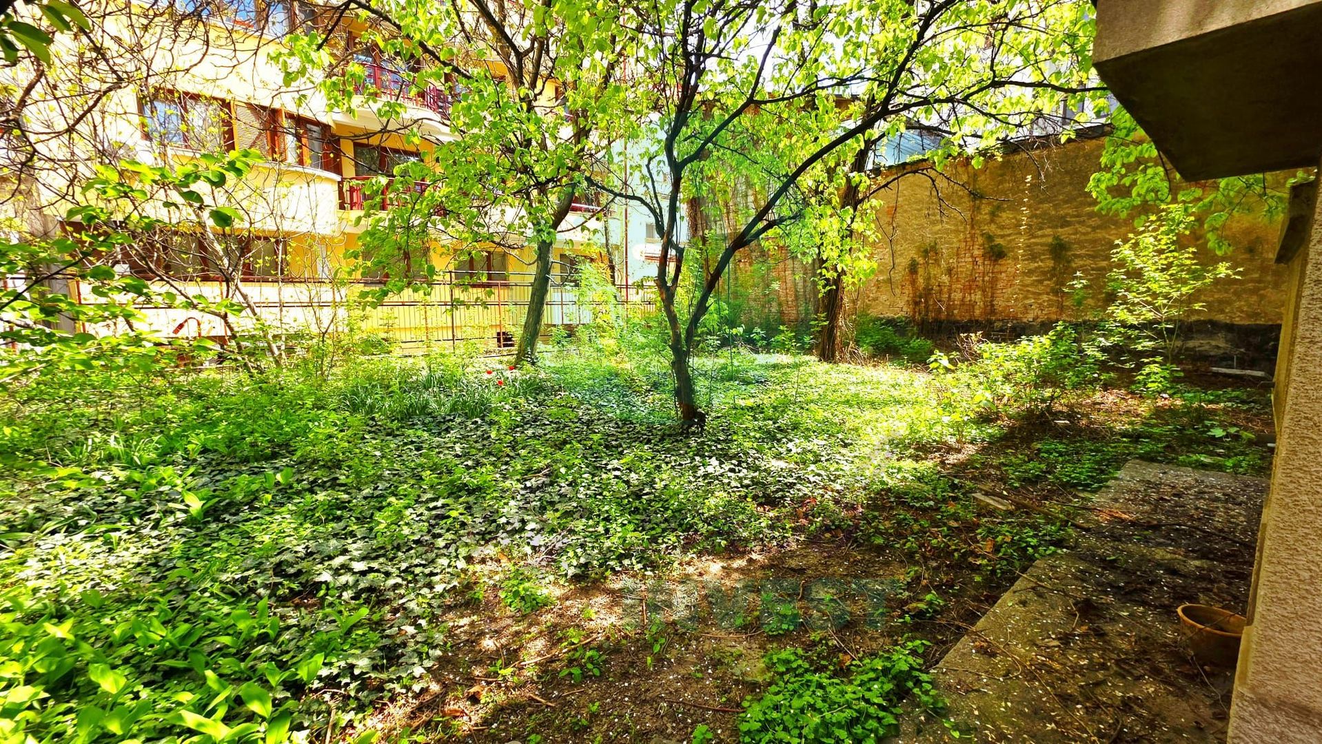 Parter vilă + demisol | Aviatorilor – Herăstrău | Grădină - Poză 2