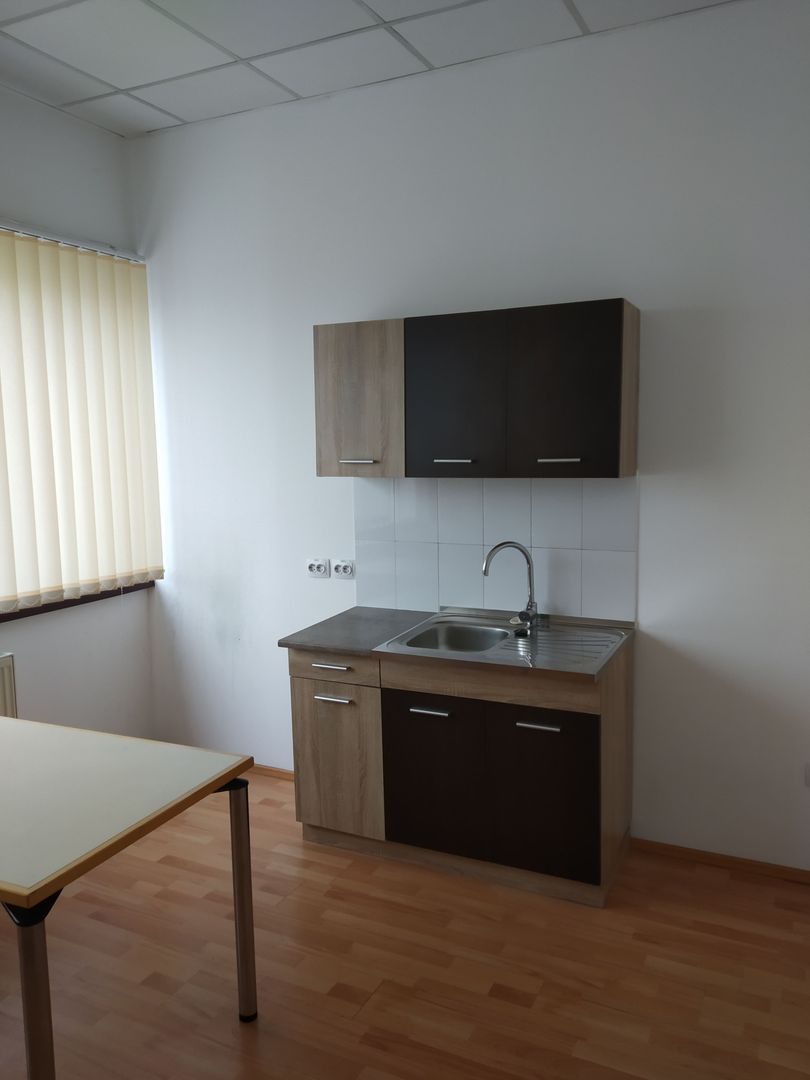 Spațiu industrial cu birouri - Zona Șagului - Poză 9