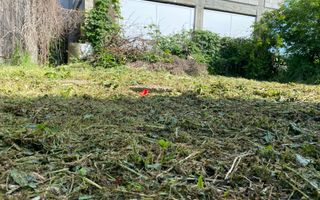 Vanzare "Casa Bunicilor" in satul Bucsani - Dambovita-Comision 0% - Poză 15