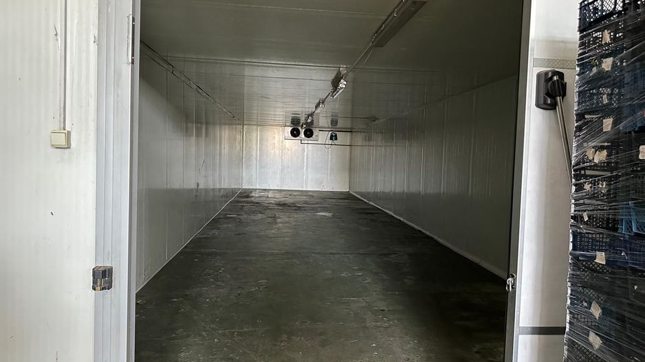 Hala de inchiriat Grădiște/Sere, Arad-761 mp - Poză 6