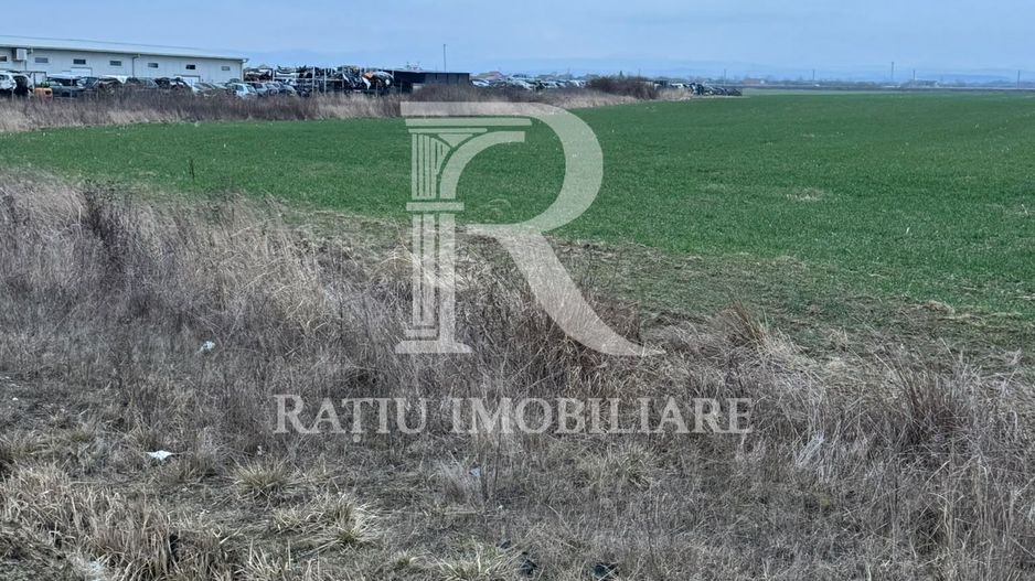 Teren de inchiriat | 20,088 ha | Sacadat | Bihor - Poză 3