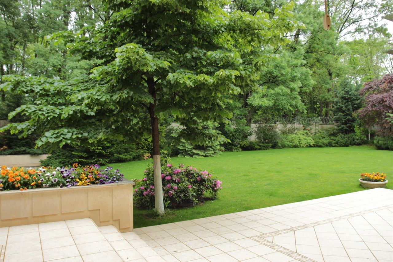 Vila impresionantă cu 15 camere, situată în zona Barbu Văcărescu - Poză 10