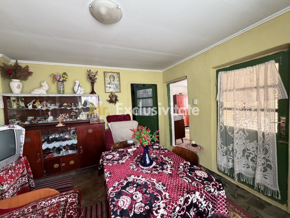Casa Priboieni - sat Pitoi Arges - Poză 18