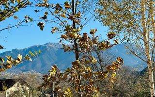 Teren Bran / Predelut cu priveliste 1840mp - Poză 13