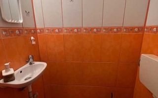 Stirbei Voda stradal- Schitu Magureanu- Cismigiu - Poză 8