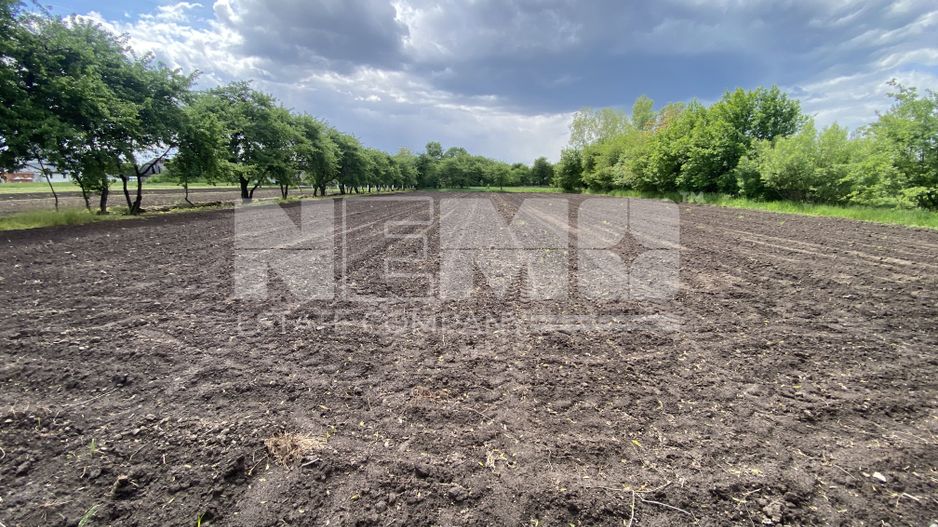 Teren Intravilan | 22 ARI | Horodnic De Jos - Poză 1