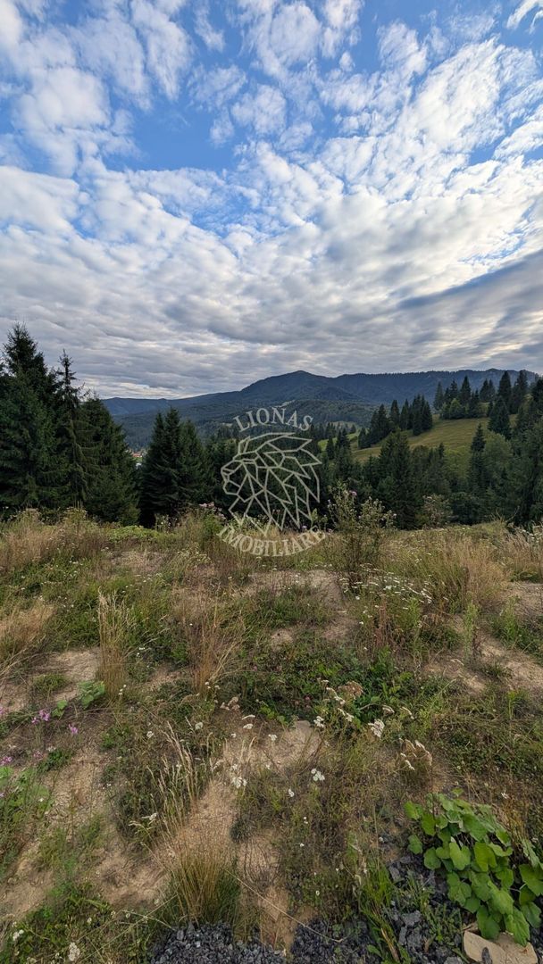 Parcele teren intravilan cu utilitati-panoramic-Colibita - Poză 4