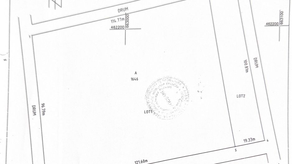 EXTRAV 11.625 MP – COTEȘTI, VRANCEA |  OPORTUNITATE PT INVESTITIE - Poză 3