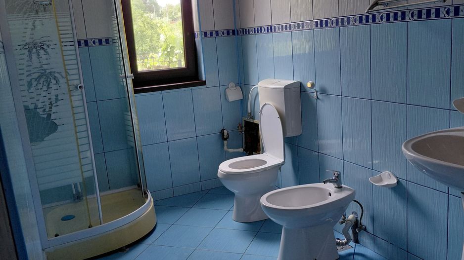 Casa P+1 zona Traian cu vedere la Brates - Poză 12