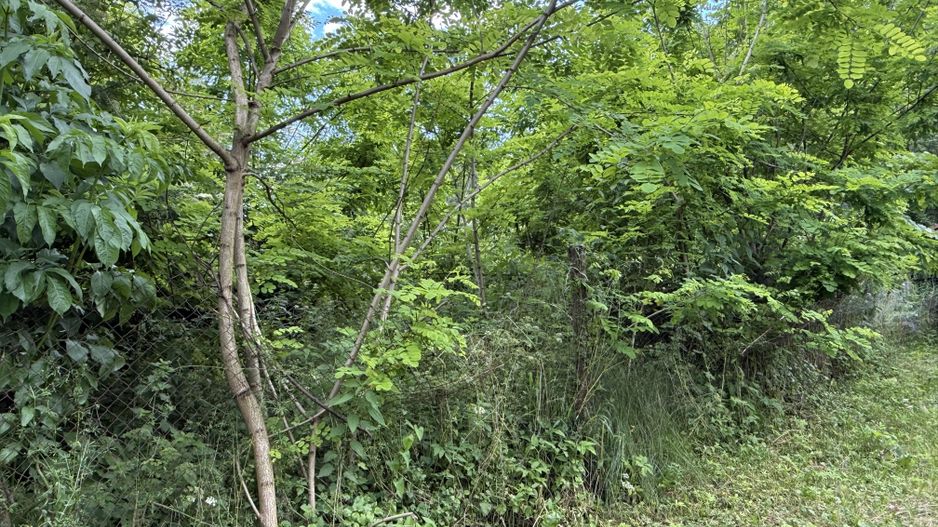 Teren intravilan 683 mp deschidere la strada asfaltata ! - Poză 14