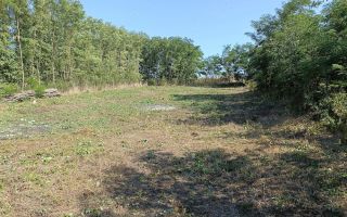 Casă renovată, Romanesti, Iași – 3 camere, 50 mp utili, teren 3240 mp - Poză 6