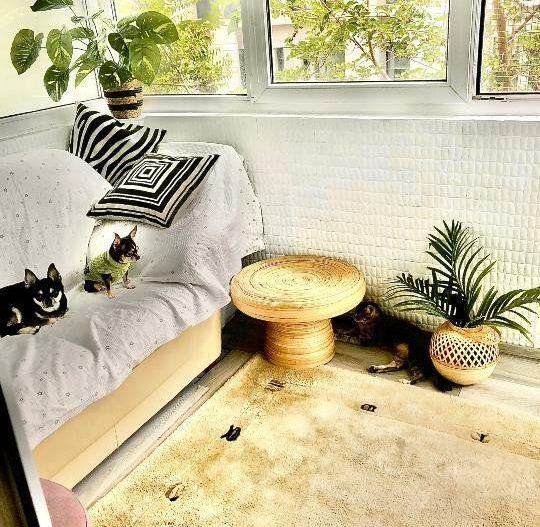 APARTAMENT SUPERB | VILA DOROBANTI - Poză 9