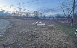 NECTORA IMOB-Teren Intravilan 647 mp, Dublu Front, Paleu, cu Utilitati - Poză 5