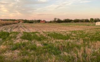 Teren de vanzare | 4.300 Mp | Cristian - Poză 2