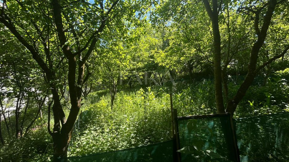 Teren Intravilan, Manastur - Poză 1