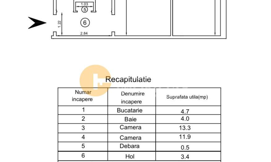 2 Camere - Zona Alexandru - Parcul Voievozilor - Poză 11