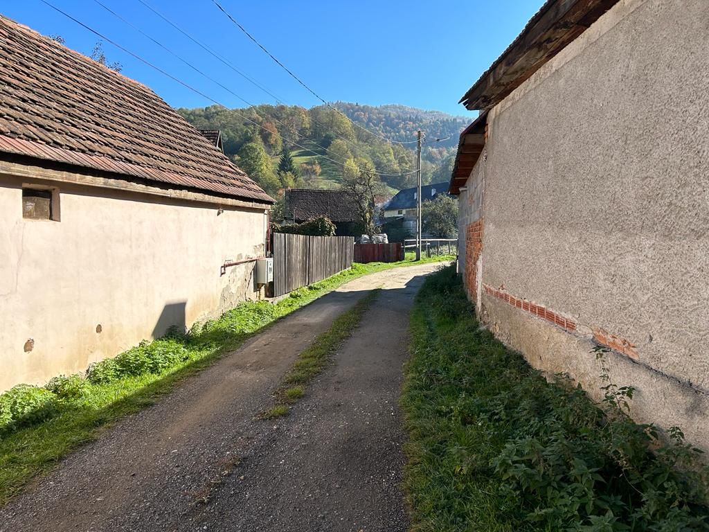Teren intravilan Sinca Noua - Poză 2