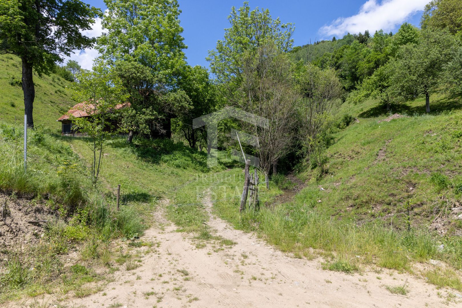 Moieciu de Jos |Teren 11.381 mp | Panoramă, potențial turistic - Poză 6