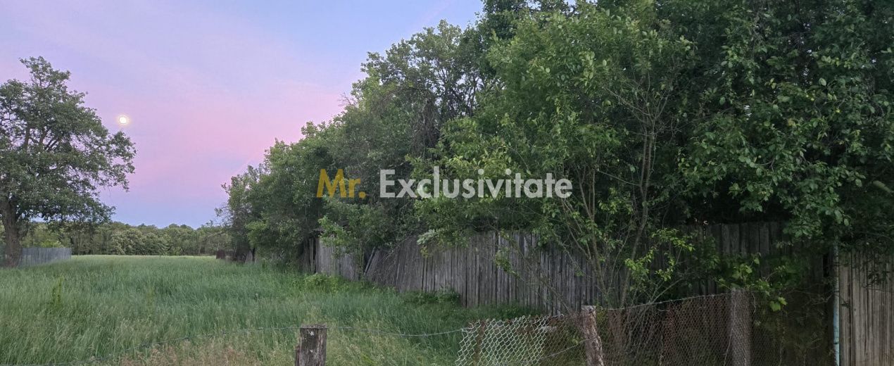 Casă cu 7.769 mp teren și pădure | Budieni | 53.000€ - Poză 4