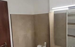 Apartament 1 Camera + Boxa - Exigent Plaza - Lujerului - Poză 6