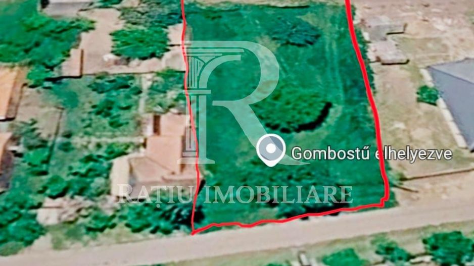 Teren intravilan 6.514mp | 39m front stradal | Ciocaia | Săcuieni - Poză 1