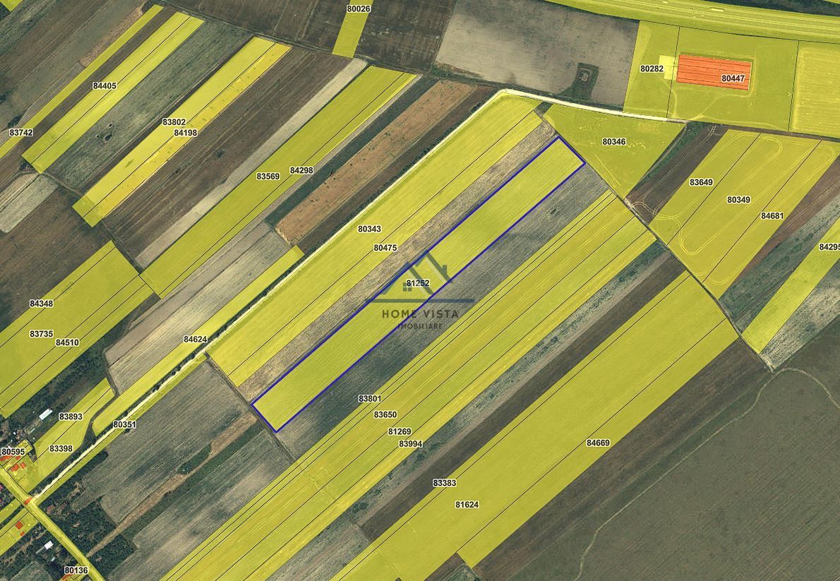 Teren agricol extravilan – Rătești, Argeș - Poză 1