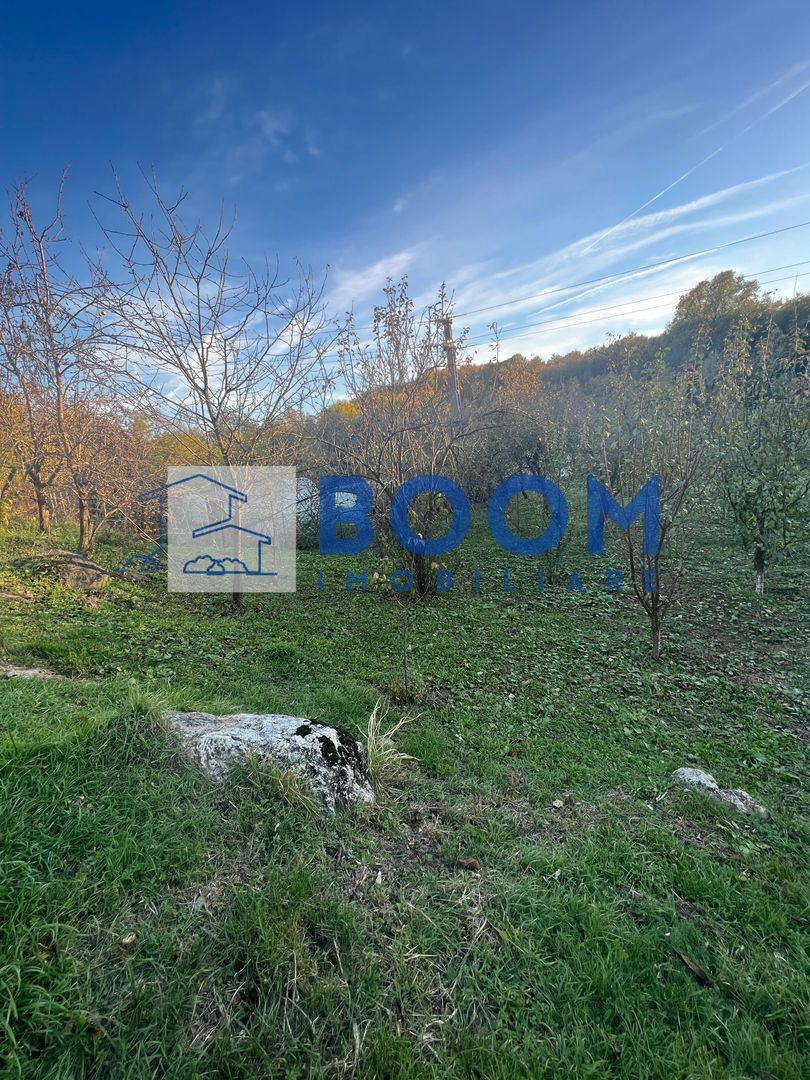 Casa cu livada | Bujoreni | 1550 mp - Poză 2