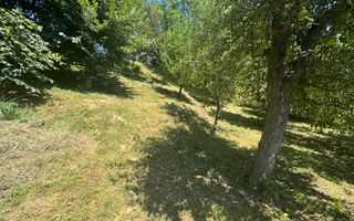 CASA 6 CAMERE TEREN 1005 MP  BUGHEA DE JOS ARGEȘ - Poză 33