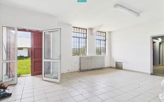 Hale 1800 mp fiecare – acces autostradă, Teiu, HD - Poză 11