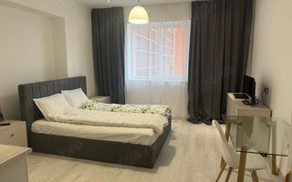 Garsonieră unicala de închiriat Rin Grand Hotel - Poză 2