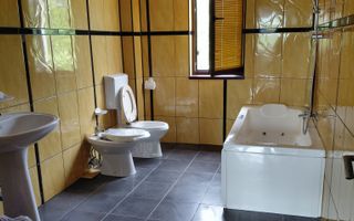 Casa P+1 zona Traian cu vedere la Brates - Poză 7