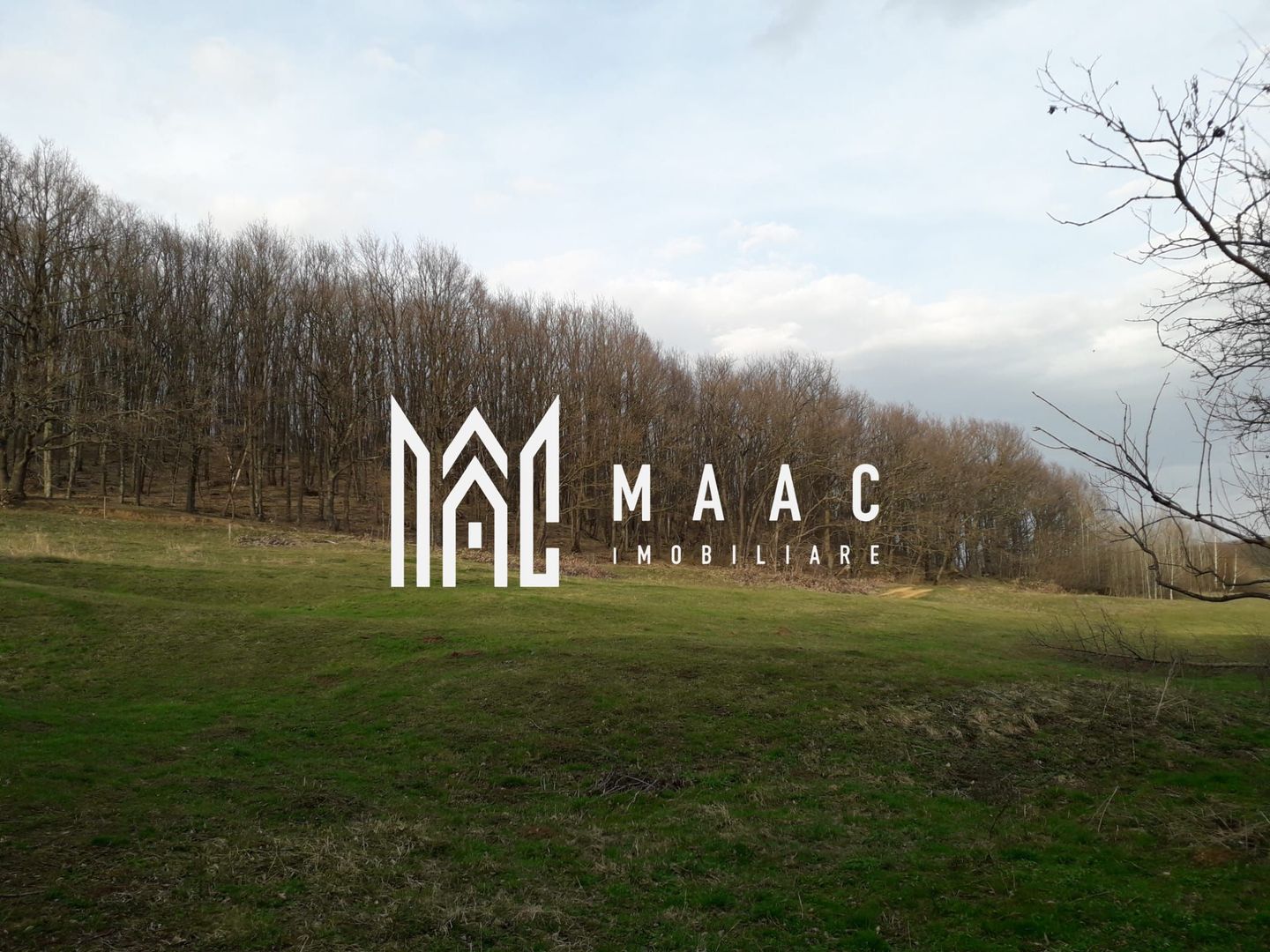 Teren Extravilan 4.572mp | Zonă liniștită | Sadu - Poză 7