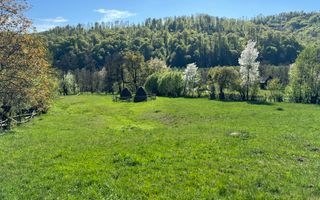 TEREN INTRAVILAN 2592 MP,  ALBESTI DE MUSCEL, ARGES - Poză 17