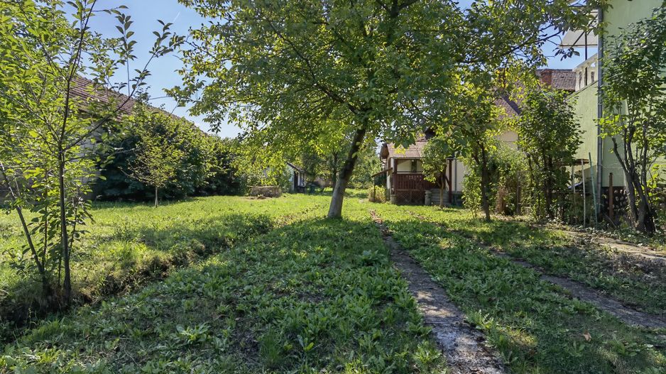 Casa vacanta,investitie  in Gurahont cu teren generos - Poză 22