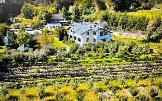 O proprietate de exceptie la Corbi, 18 ha, izvor, lac, pastravarie - Poză 3