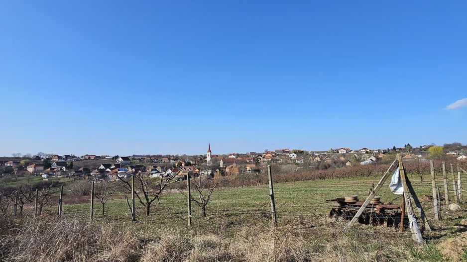 Teren intravilan Saldabagiu de Munte 850 mp - Poză 2