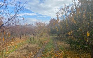 Vanzare casă spațioasă cu teren generos în Cândești Vale–jud Dambovita - Poză 20