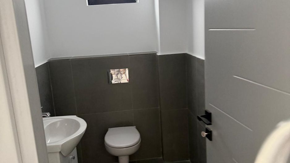 Depozit / hală de de vanzare | Acces TIR | Chitila - Poză 3