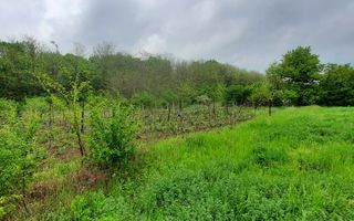 🏡 Casă cu livadă sat Prisăcani  - Teren 4500 mp - Poză 9